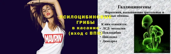 герыч Алзамай