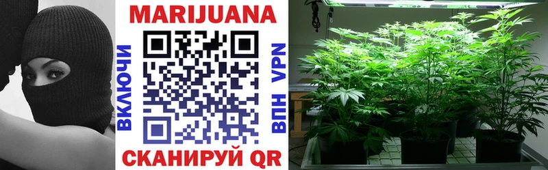 Бошки Шишки THC 21%  Бакал 